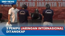 3 Orang Penipu Jaringan...