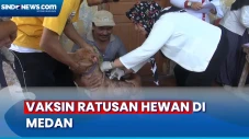 Vaksin Gratis Ratusan...