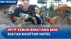 Unik ! Kebun Binatang...