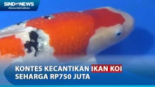 Keseruan Dibalik Kontes...