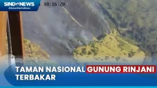 Puluhan Hektare Hutan...