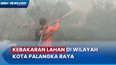 Lahan Seluas 5 Hektare...