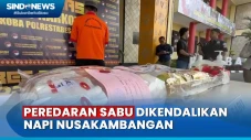 Polisi Ungkap Peredaran...