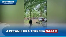 Petani Sawit di Lampung...
