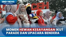 Menggemaskan! Pecinta...