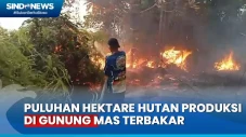 Diduga Sengaja Dibakar,...