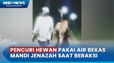 Komplotan Spesialis...