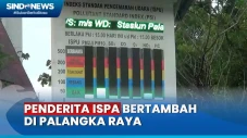 Dampak Karhutla di Palangka...
