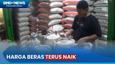 Dampak Musim Kemarau,...