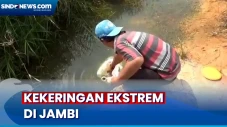 Warga di Jambi Gunakan...