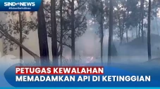 Hutan Gunung Arjuno...