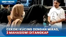 Nekat Cekoki Kucing...