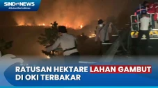 Karhutla Meluas, Ratusan...