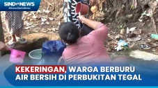 Terdampak Kekeringan,...