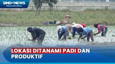 Petani Tolak Keras Rencana...
