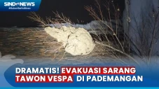 Petugas Damkar Evakuasi...