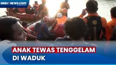 Tidak Bisa Berenang,...