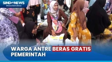 Demi Beras Gratis, Ratusan...