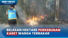 Perkebunan Karet Warga...