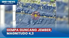 Pagi Ini, Jember Diguncang...
