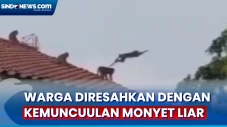 Warga Jakarta Timur...