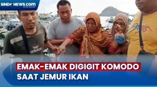 Emak-Emak Digigit Komodo...