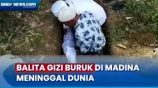 Balita Pengidap Gizi...