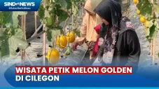 Petani Cilegon Kompak...