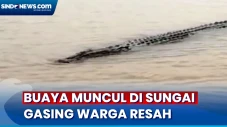 Warga Resah Akibat Kemunculan...