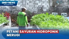 Cuaca Panas Rugikan...