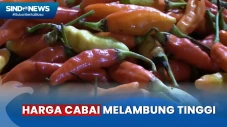 Dampak Kemarau, Harga...