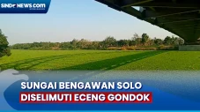 Hamparan Eceng Gondok...