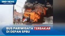 Viral! Video Amatir...
