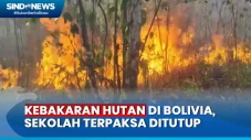 Pembukaan Lahan oleh...