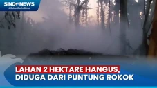 Diduga Akibat Puntung...