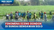 Ratusan Relawan Bersihkan...