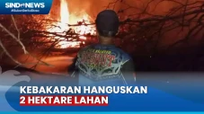 Kebakaran Lahan di Palangka...