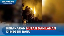 50 Hektare Hutan dan...