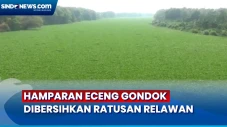 Ratusan Relawan Bersihkan...