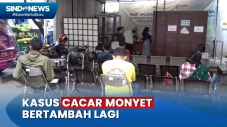 Temuan Kasus Cacar Monyet...