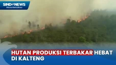 Kemarau! Puluhan Hektare...