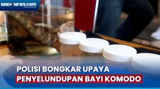 Sindikat Penyelundupan...