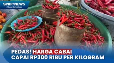 Naik Gila-gilaan, Harga...
