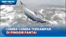 Diduga karena Cuaca...