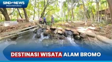 Rekomendasi Wisata Musim...