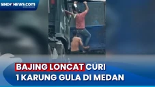 Bajing Loncat Incar...