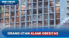Masih Tentang Medan...