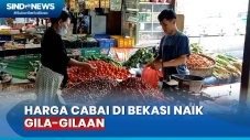 Harga Naik Gila-gilaan...