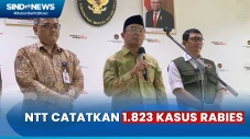 Ada 1.823 Kasus Rabies...