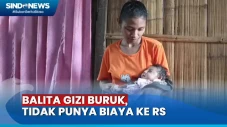 Setiap Hari Makan Ubi...